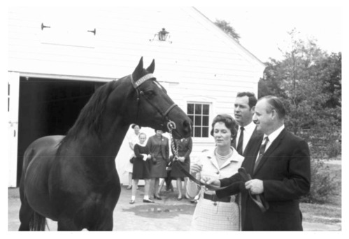 Director Hartzog standing beside Morgan Horse