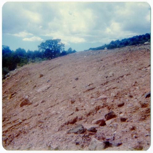 Gravel, dirt, and rocks along the Kolob Terrace Road - North Unit.