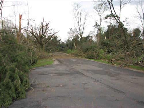Photos taken in the aftermath of April 10, 2009, tornado at Stones River National Battlefield