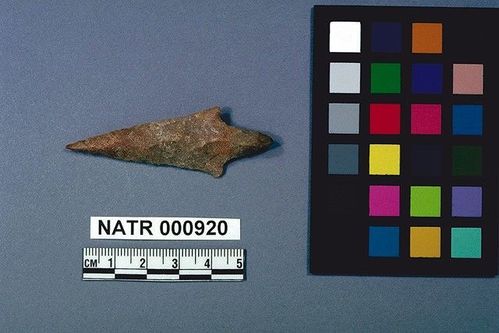 NATR     920 -- Untyped projectile point
