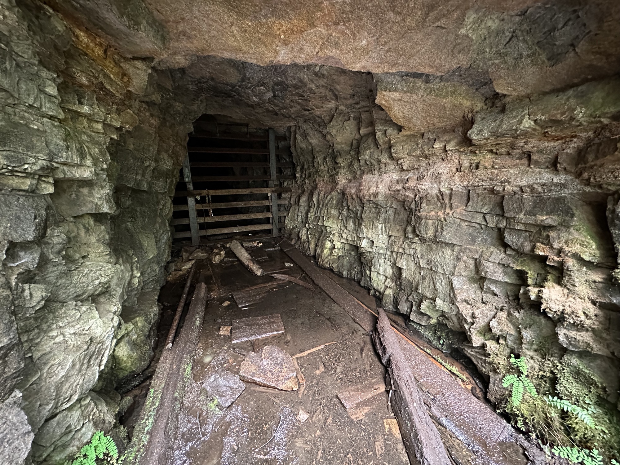 A mine entrance cut into layers of rock blocked by a metal grate a short distance inside the entrance. 