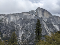 Mountain top with cloudy skies and trees in foreground.