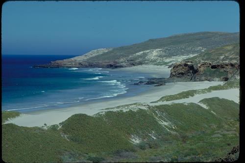 Cuyler Harbor, San Miguel Island looking from sand dunes on beach to the bay.
