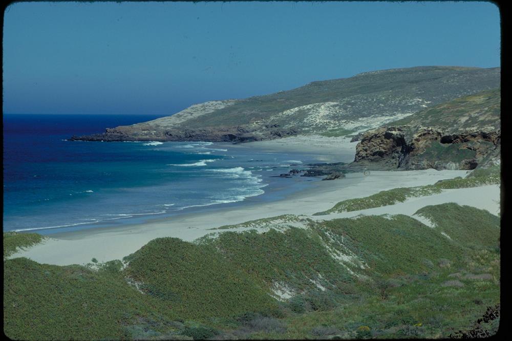 Cuyler Harbor, San Miguel Island looking from sand dunes on beach to the bay.
