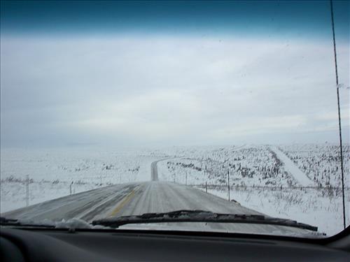2 Gates of the Arctic National Park and Preserve Hares Survey 2004