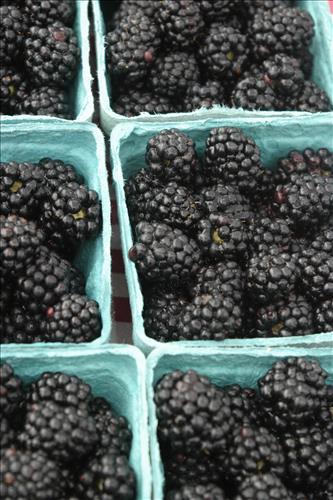 Countryside Farmers' Market produce