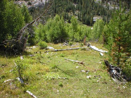 Stock camp, high impact grazing site, Sept. 2003 at Woods Creek Crossing Meadow, Sequoia and Kings Canyon National Park