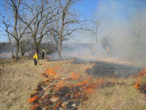 Prescribed burning at Pea Ridge National Battlefield