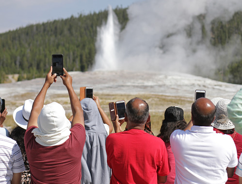 Looking at the back of a group of people holding phones up pointed at an eruption of Old Faithful Geyser