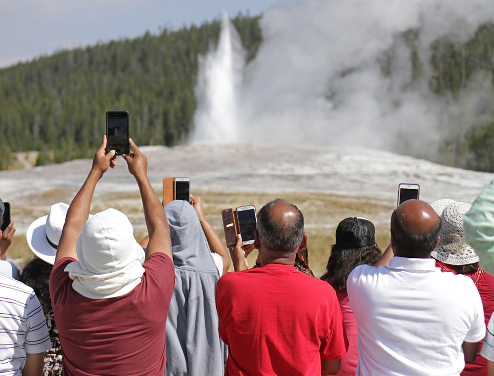 Looking at the back of a group of people holding phones up pointed at an eruption of Old Faithful Geyser