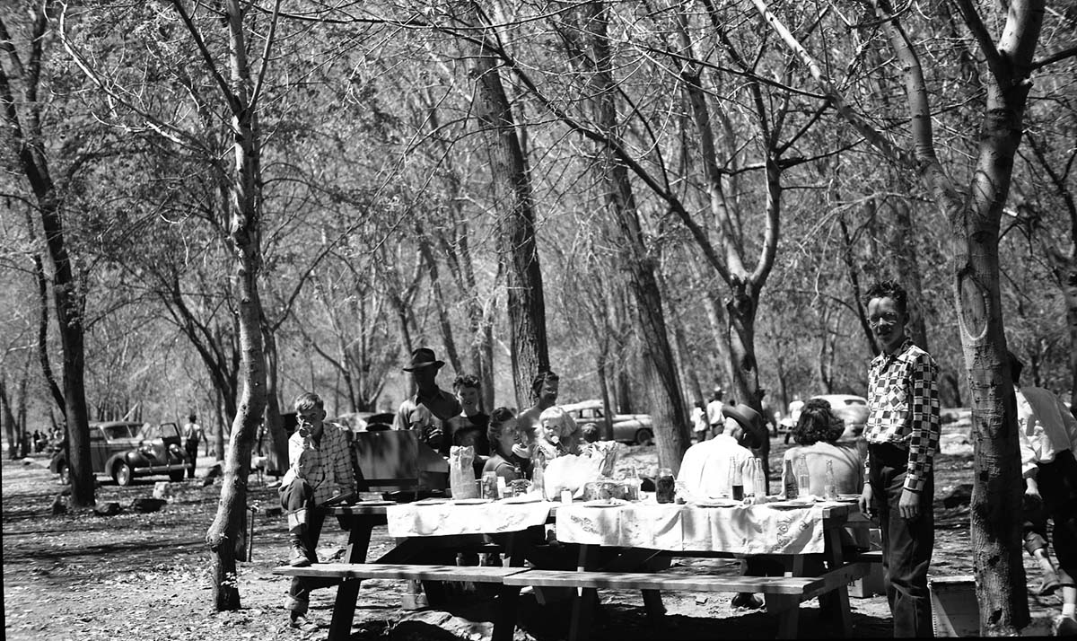 Picnickers, family group at tables.