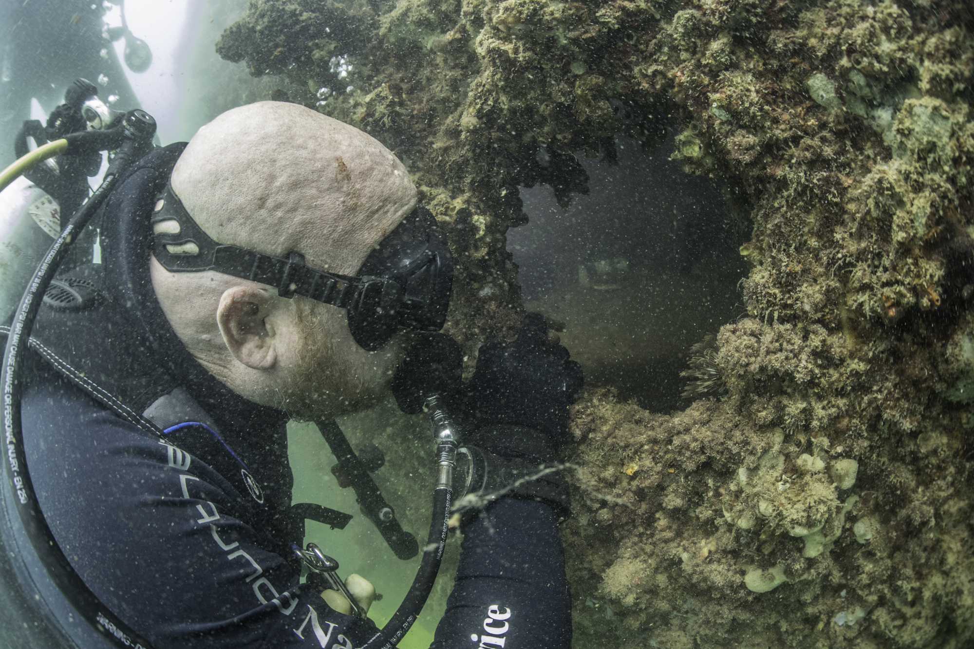 Diving at the USS Arizona.