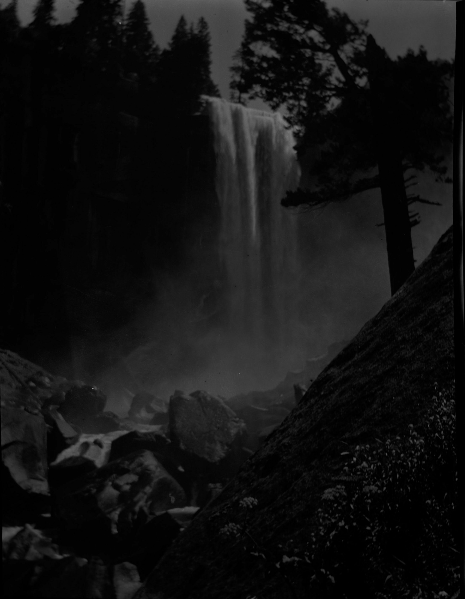 SEKI Roberts Collection Series: 2 Negatives; 10 Outside of the Park