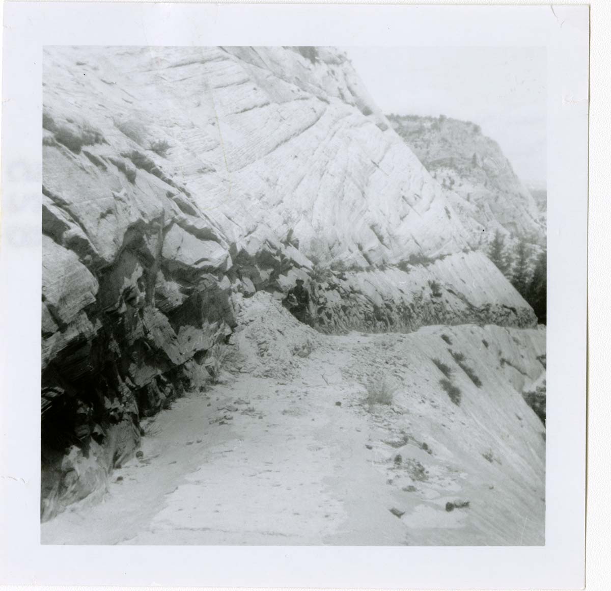 General view of the East Rim trail.