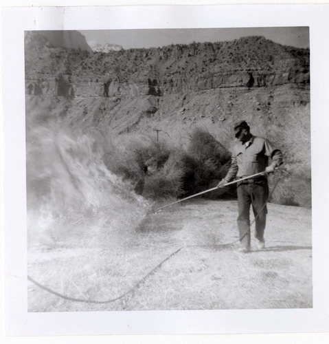 NPS employees clearing and removing brush with fire.