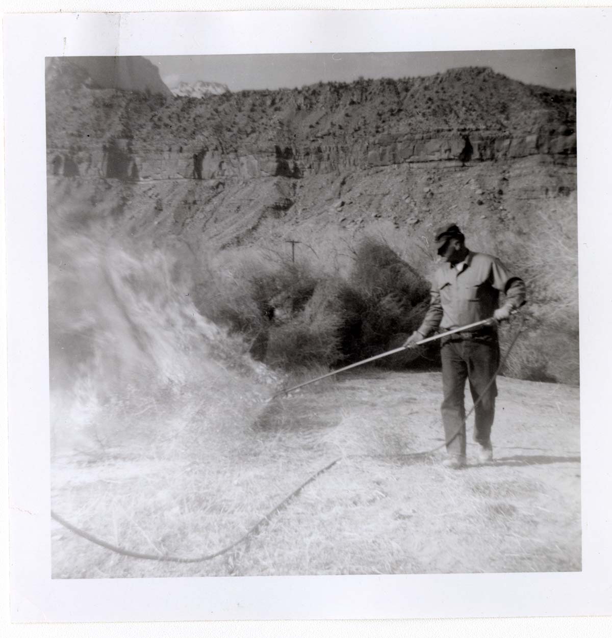 NPS employees clearing and removing brush with fire.