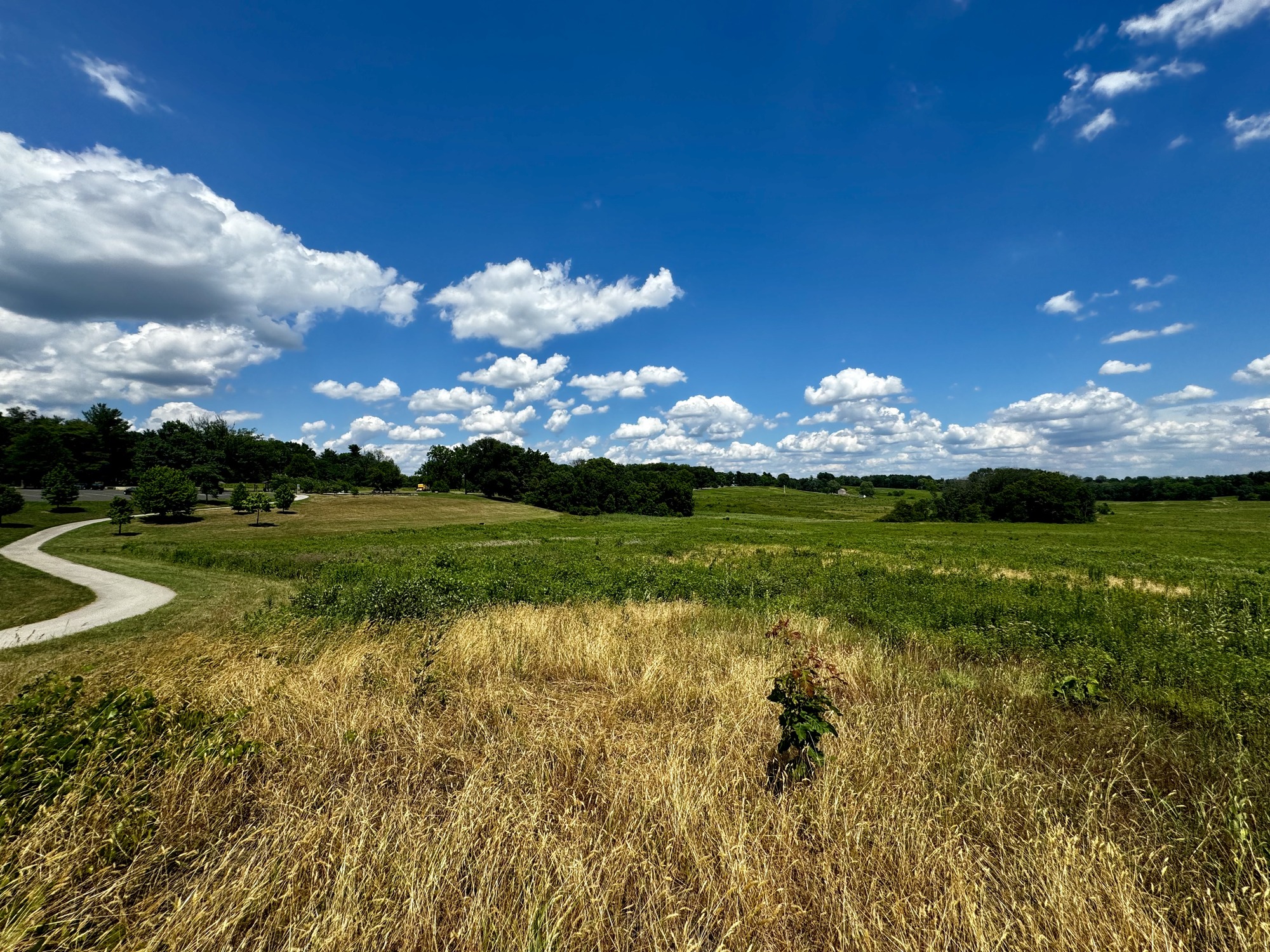 Open Grassland at the Grand Parade in Valley Forge National Historical Park