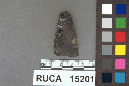 RUCA   15201 -- Point, Projectile