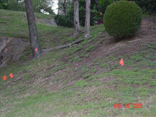 Plant Shrubs and Trees along Grand Promenade at Hot Springs National Park in August 2008