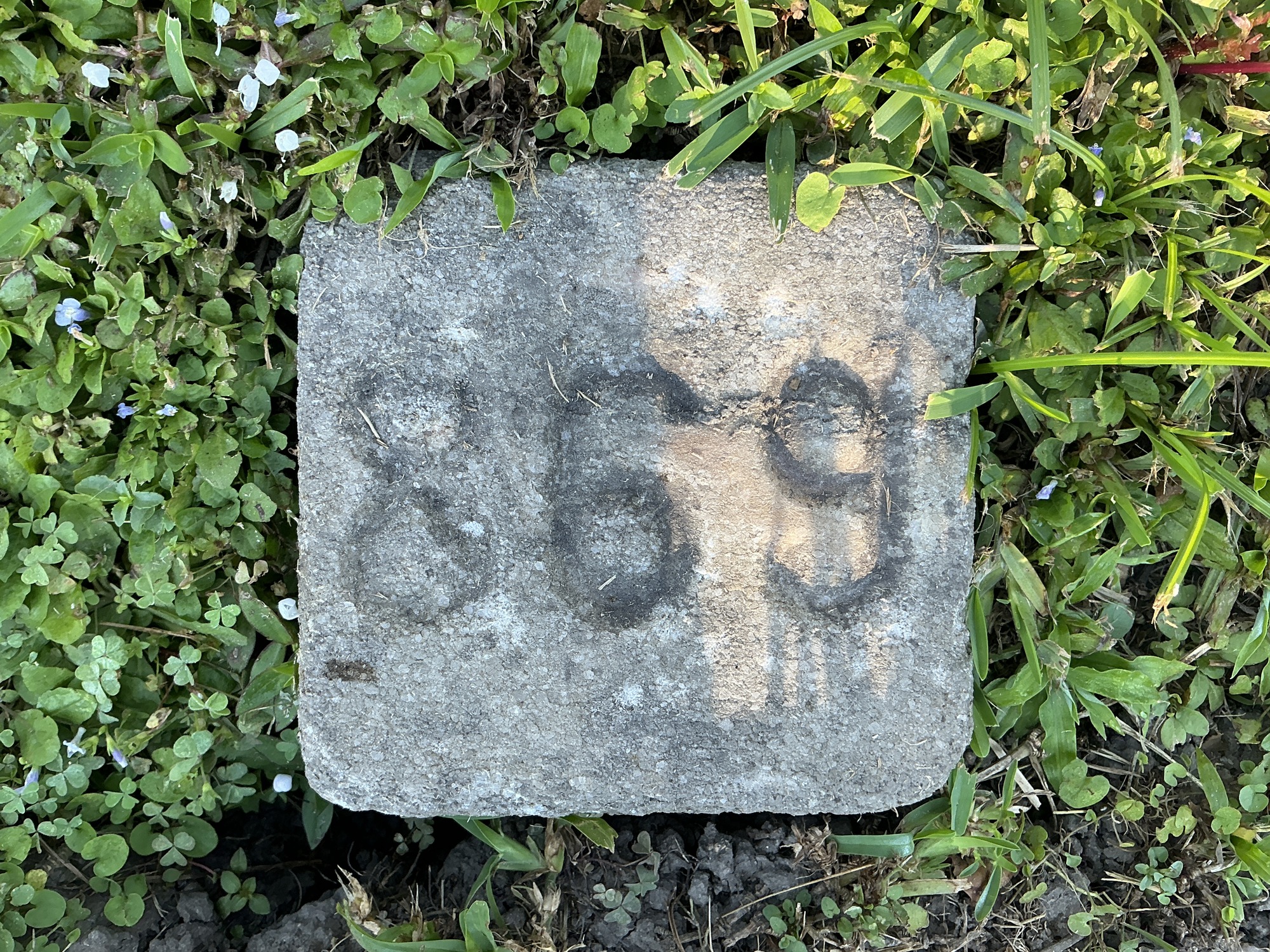 Top of flat marble marker