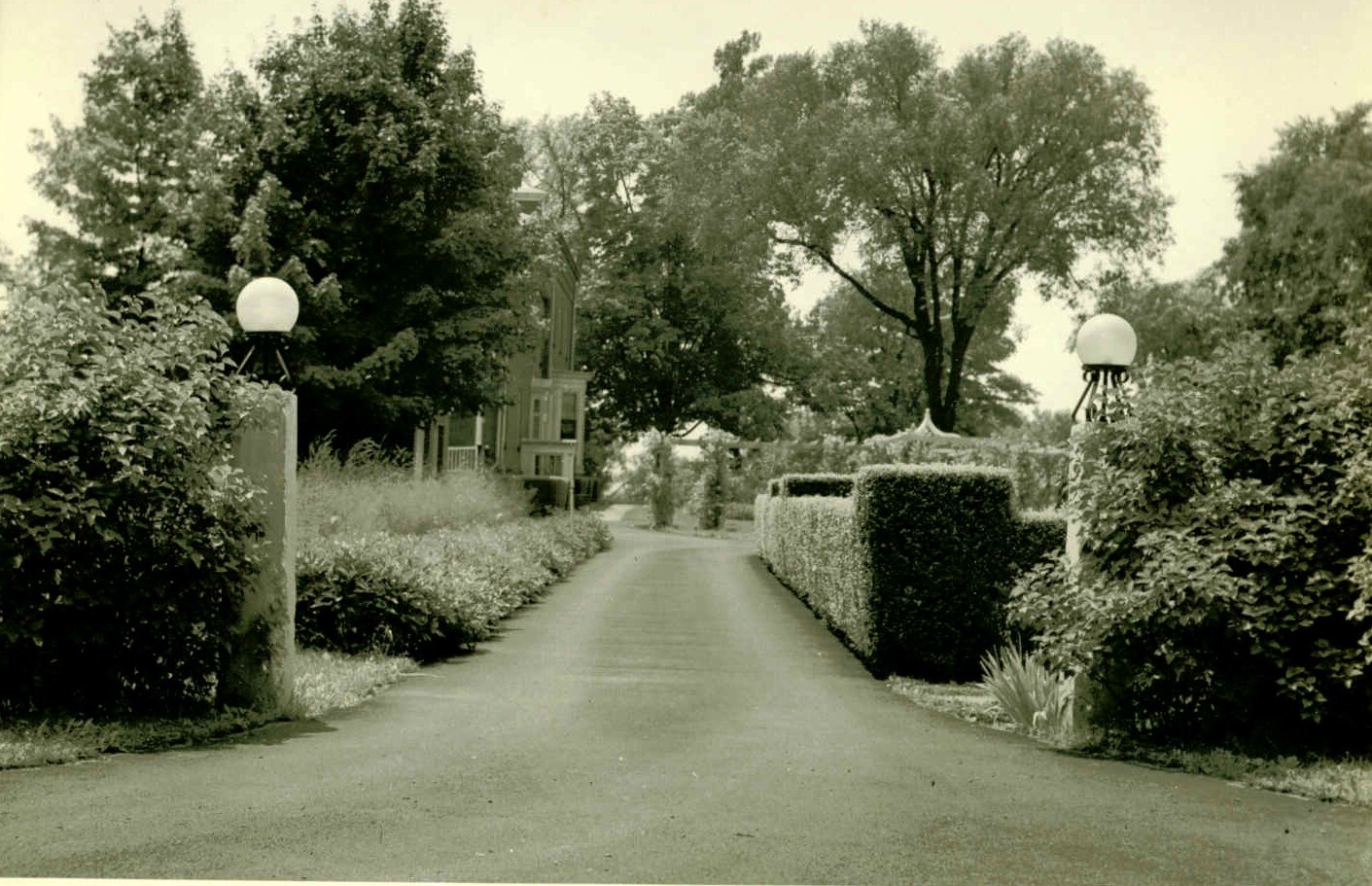 Black and white photo looking up a paved driveway. Stone pillars with globe lights and bushes are on either side of the entrance. One side of the driveway has bushes, the other side of a manicured hedge fence. A rose arbor and part of a house can be seen in the background.