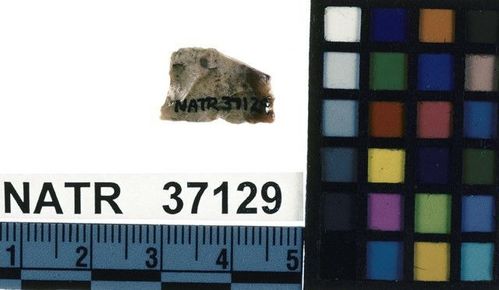 NATR   37129 -- Late Woodland / Miss Triangular Cluster projectile point