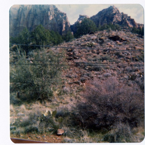 Personnel performing maintenance activities.