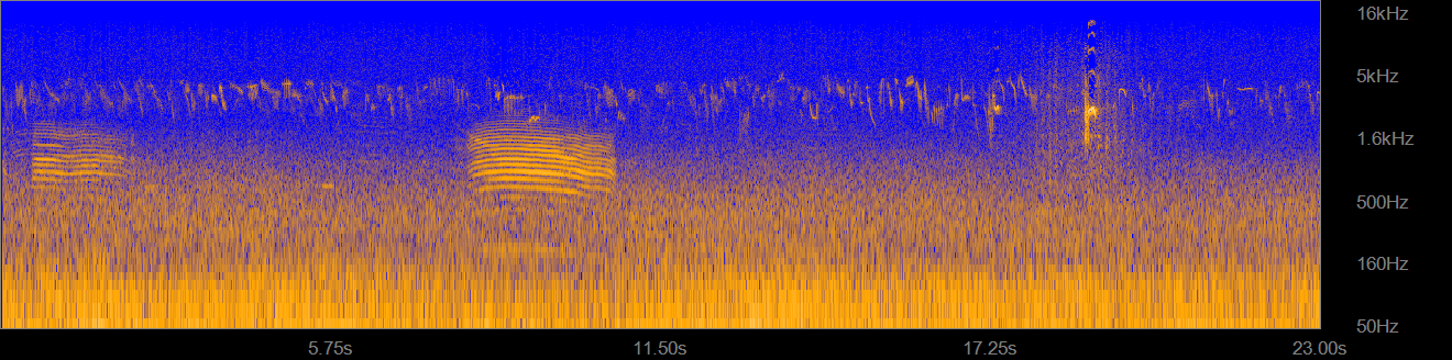 Spectrogram of a cow and a Eurasian Skylark at the HALE004 acoustic monitoring site (Nu'u) in Haleakala National Park.