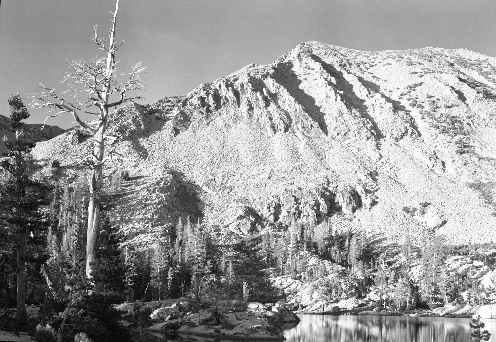 From Ottoway Lake in late afternoon