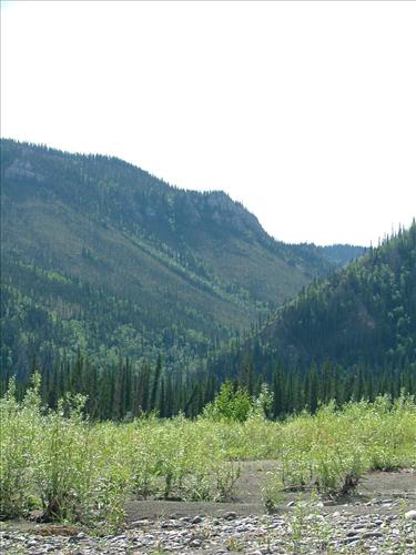 6 Yukon-Charley Rivers National Preserve Peregrine Falcon Survey July 2006