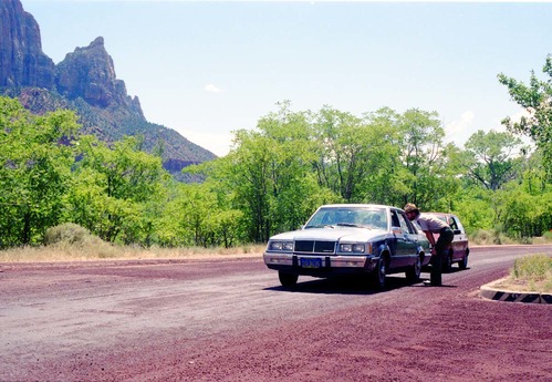 Color Photos of the parks 72nd anniversary celebrations- cake cutting, barbecue, speakers.