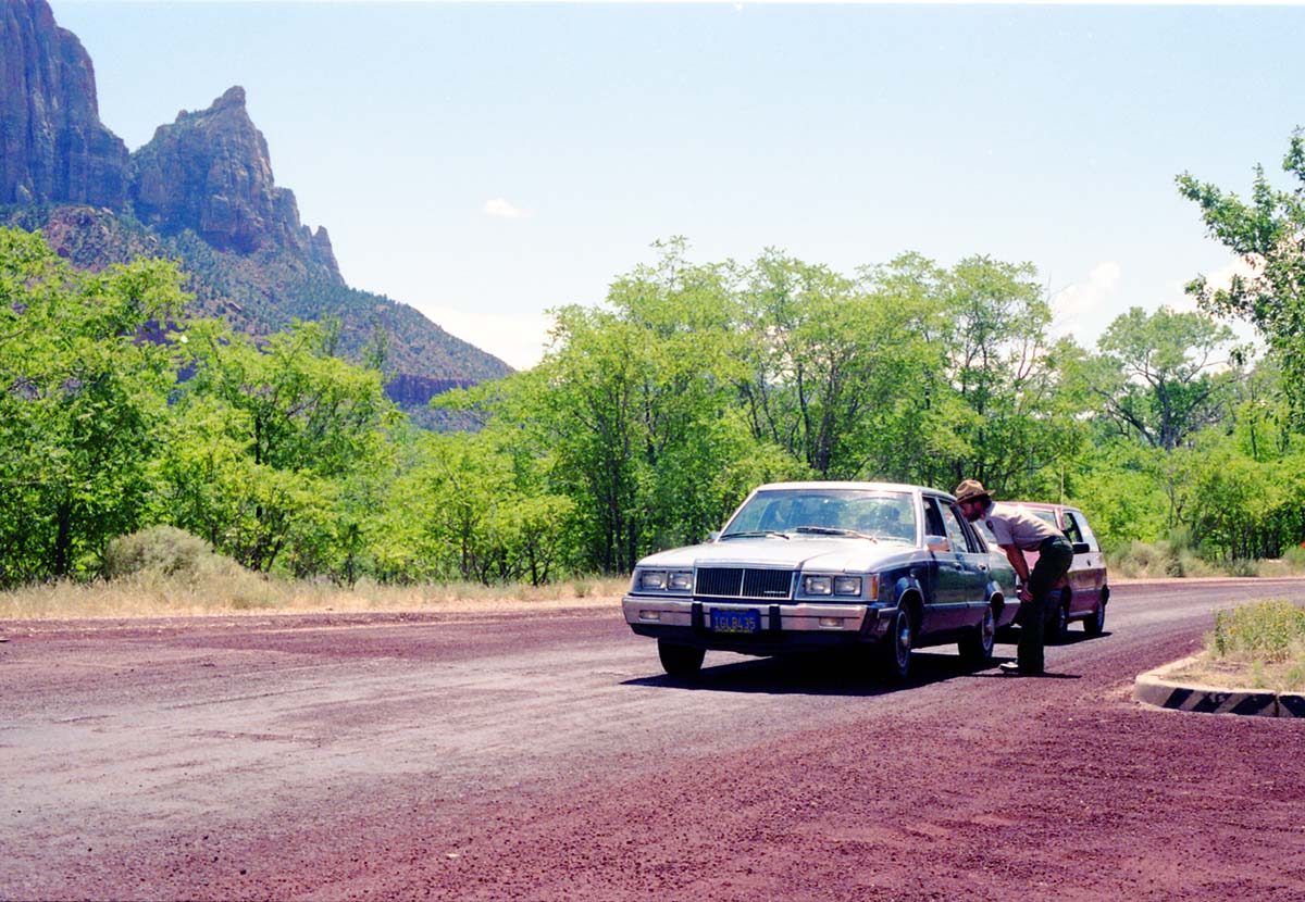 Color Photos of the parks 72nd anniversary celebrations- cake cutting, barbecue, speakers.