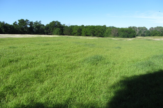Deep ruts and swales in a green grass pasture at Swanson Swales in Rice County, KS