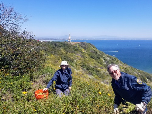 Two volunteers smile at the camera as they remove invasive plants on a sunny day. They kneel among California sunflowers. Behind them is the Cabrillo statue, San Diego Bay, and city skyline. 