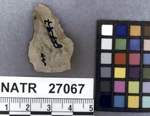 NATR   27067 -- Gary projectile point