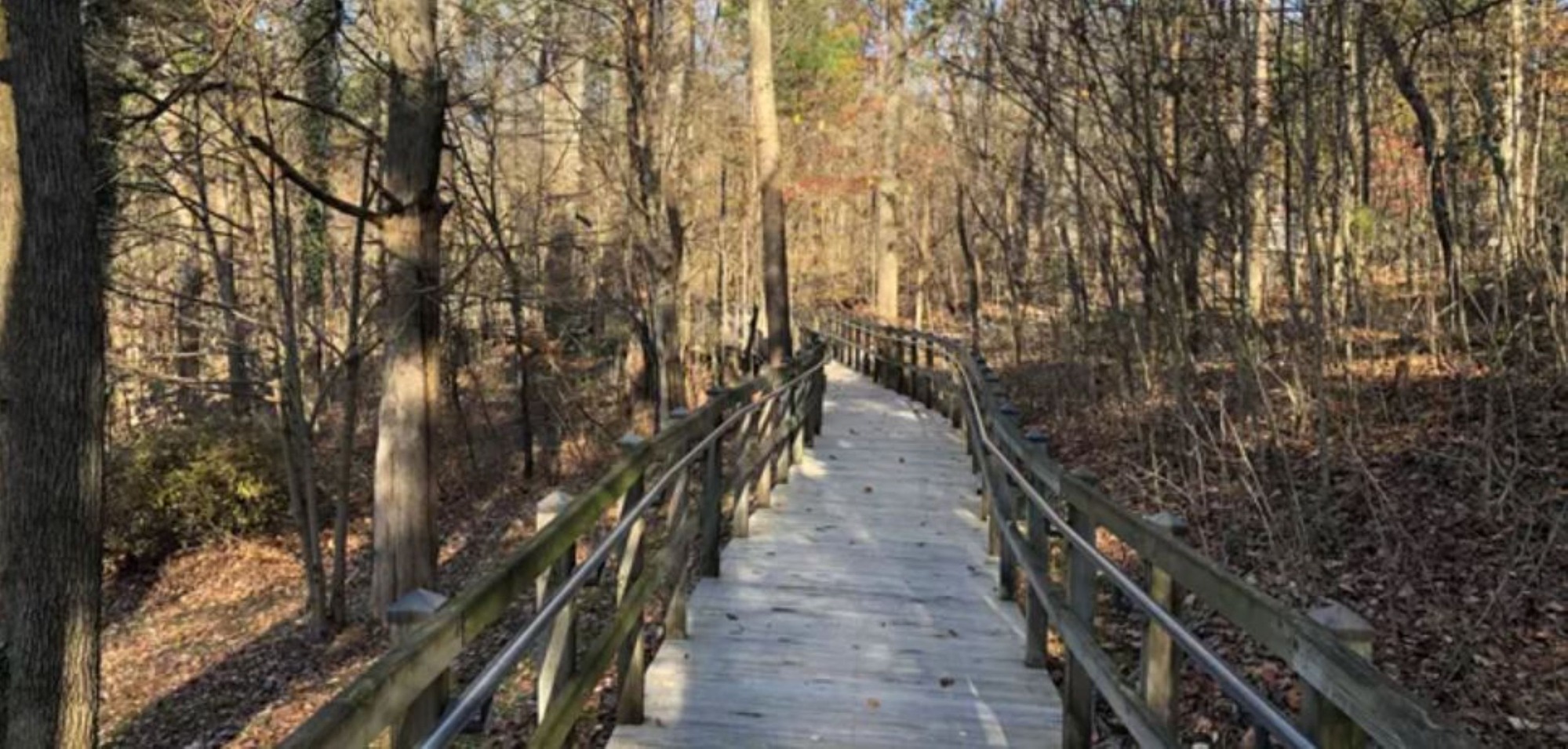 boardwalk