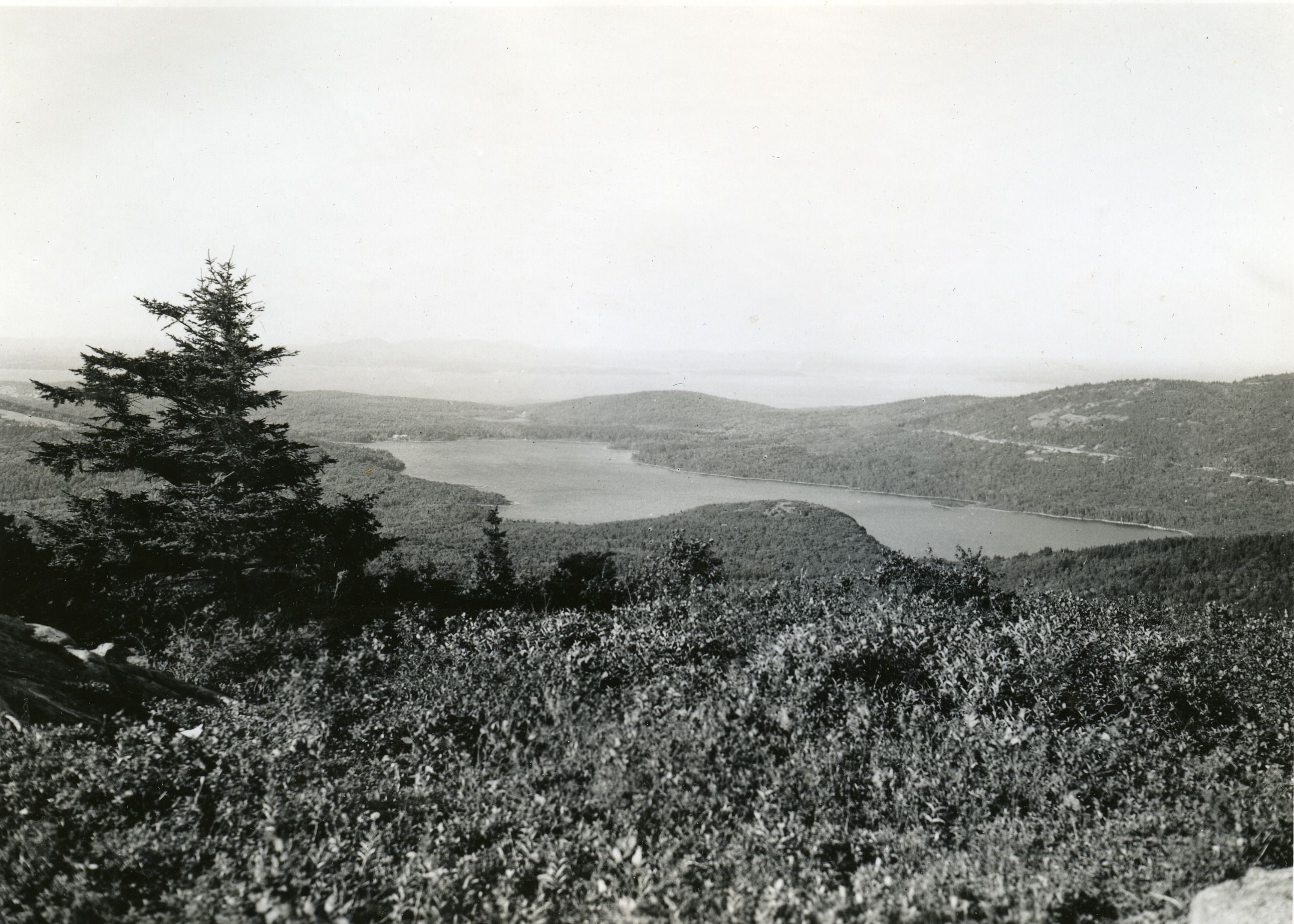 EAGLE LAKE FORM SARGENT MT.