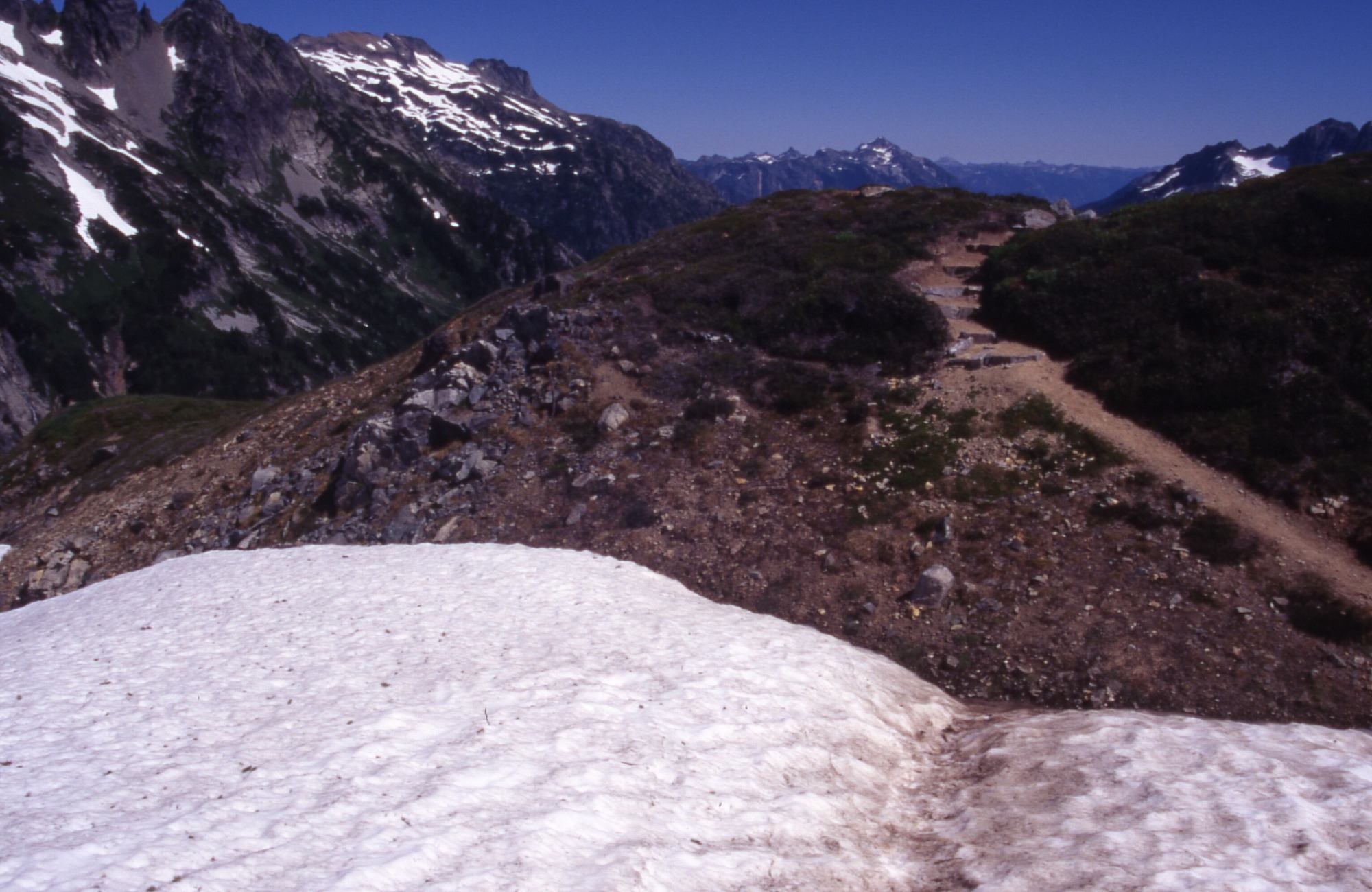 A rocky hillside with wildflowers and shrubs surrounding the main trail. In the foreground is a large snow melt. In the distance are forested, snowy, mountainsides and peaks.