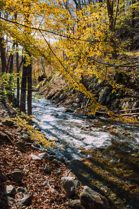 A mountain stream flowing through rocks and trees with fall foliage.