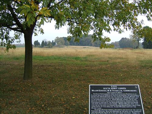 East Woods reforestation area at Antietam N.B.