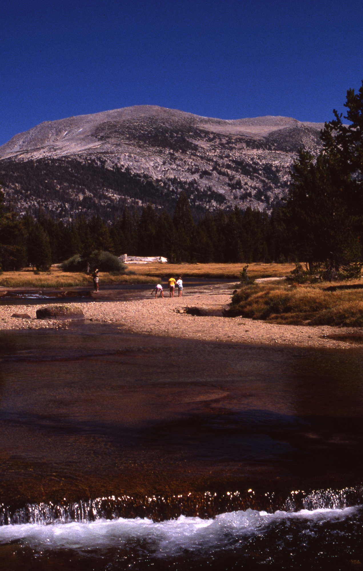 Tuolumne Meadows