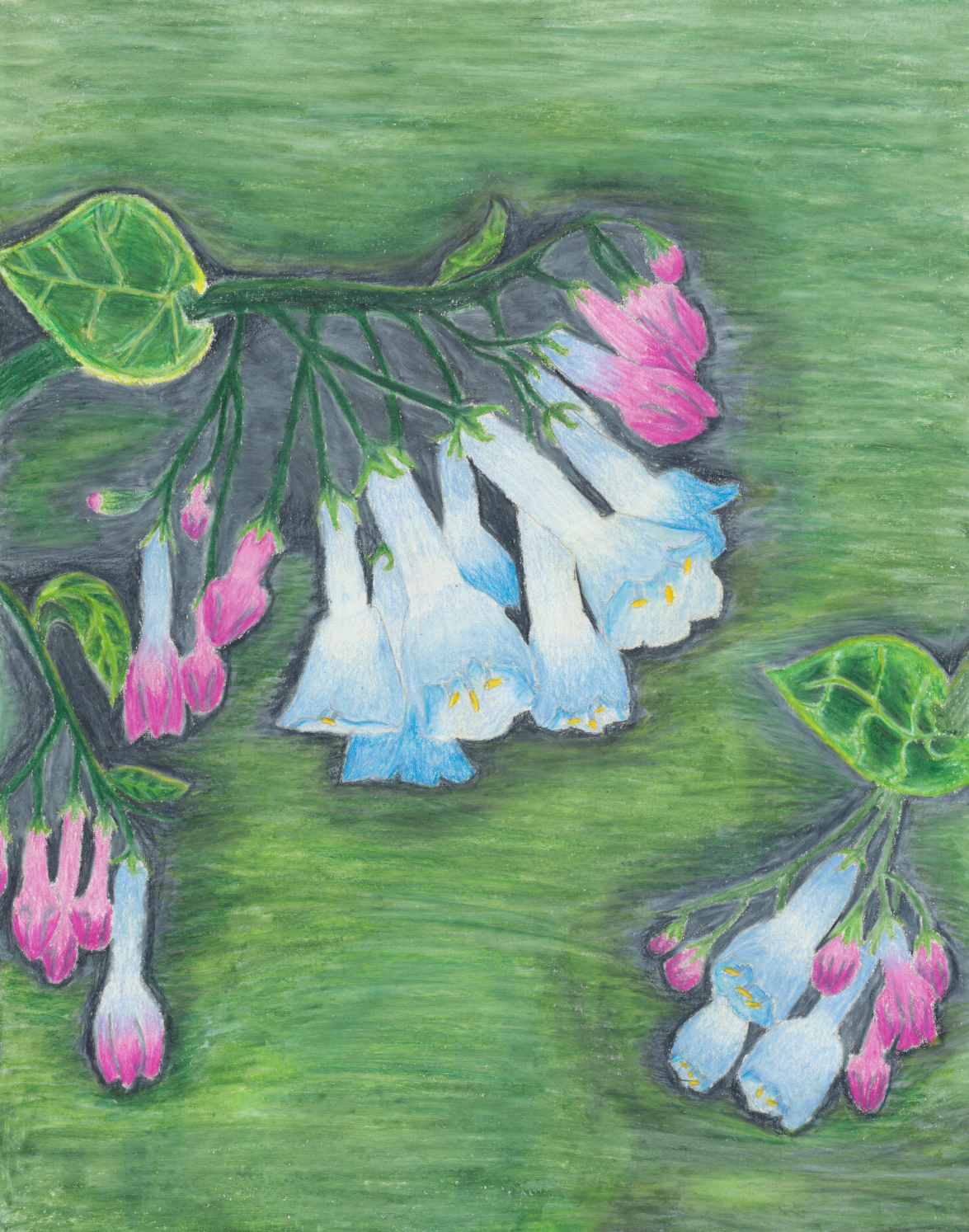 drawing of blue and pink wildflowers against green background