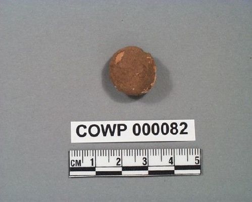 COWP      82 -- Bullet