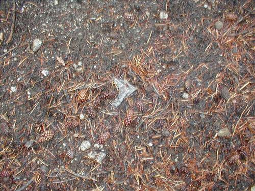 Camp used by Cottonwood Pack Station at Lower Rock Creek Crossing, Sequoia and Kings Canyon National Park