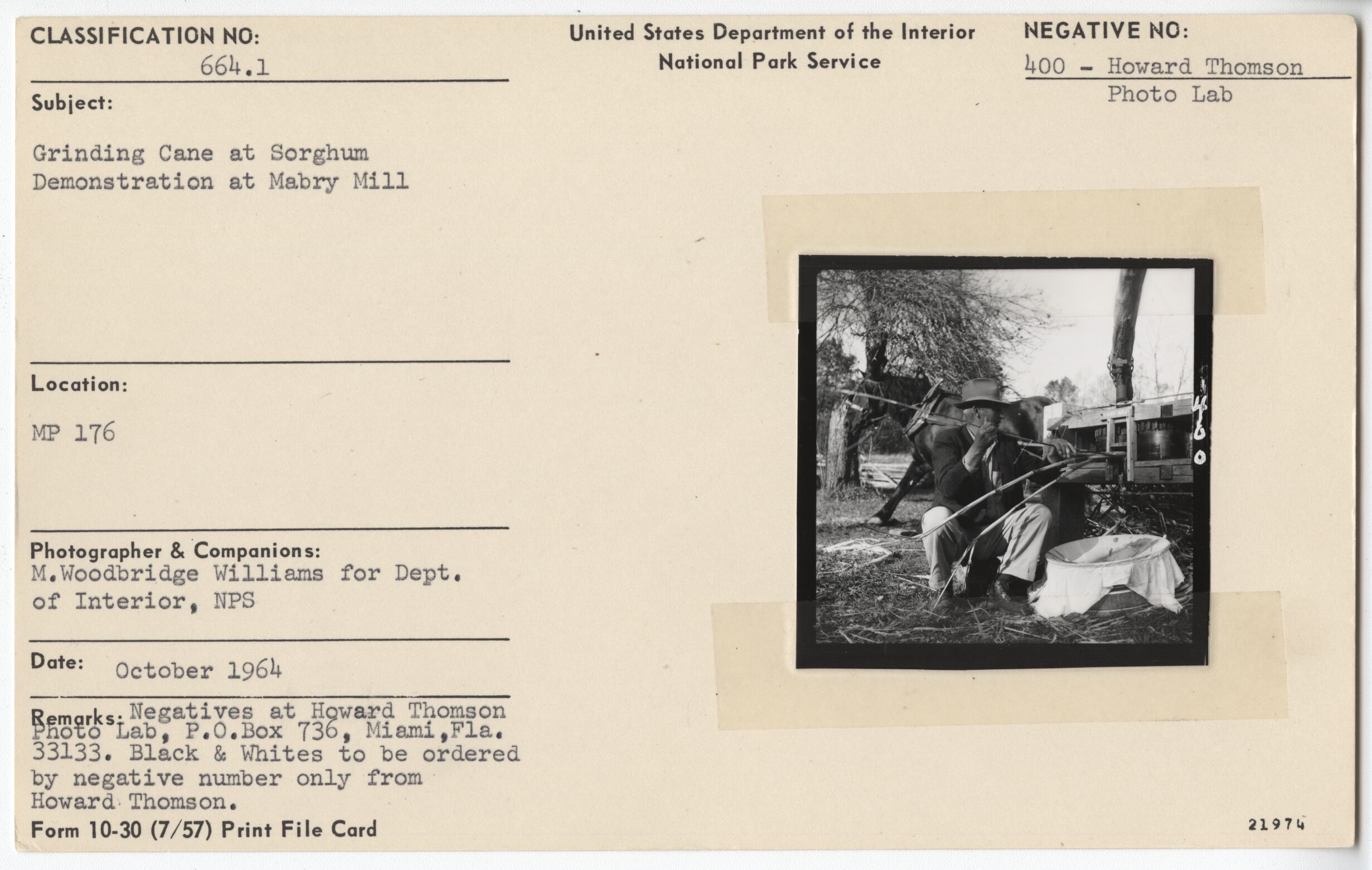 Grinding Cane at Sorghum Demonstration at Mabry Mill