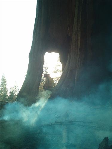Giant wildfire used for resource benefit, Sequoia and Kings Canyon National Parks, summer 2003