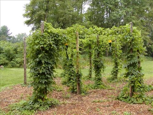 Images of Lindenwald, Martin Van Buren's Historic Home, taken May 2000-June 2008 Part II