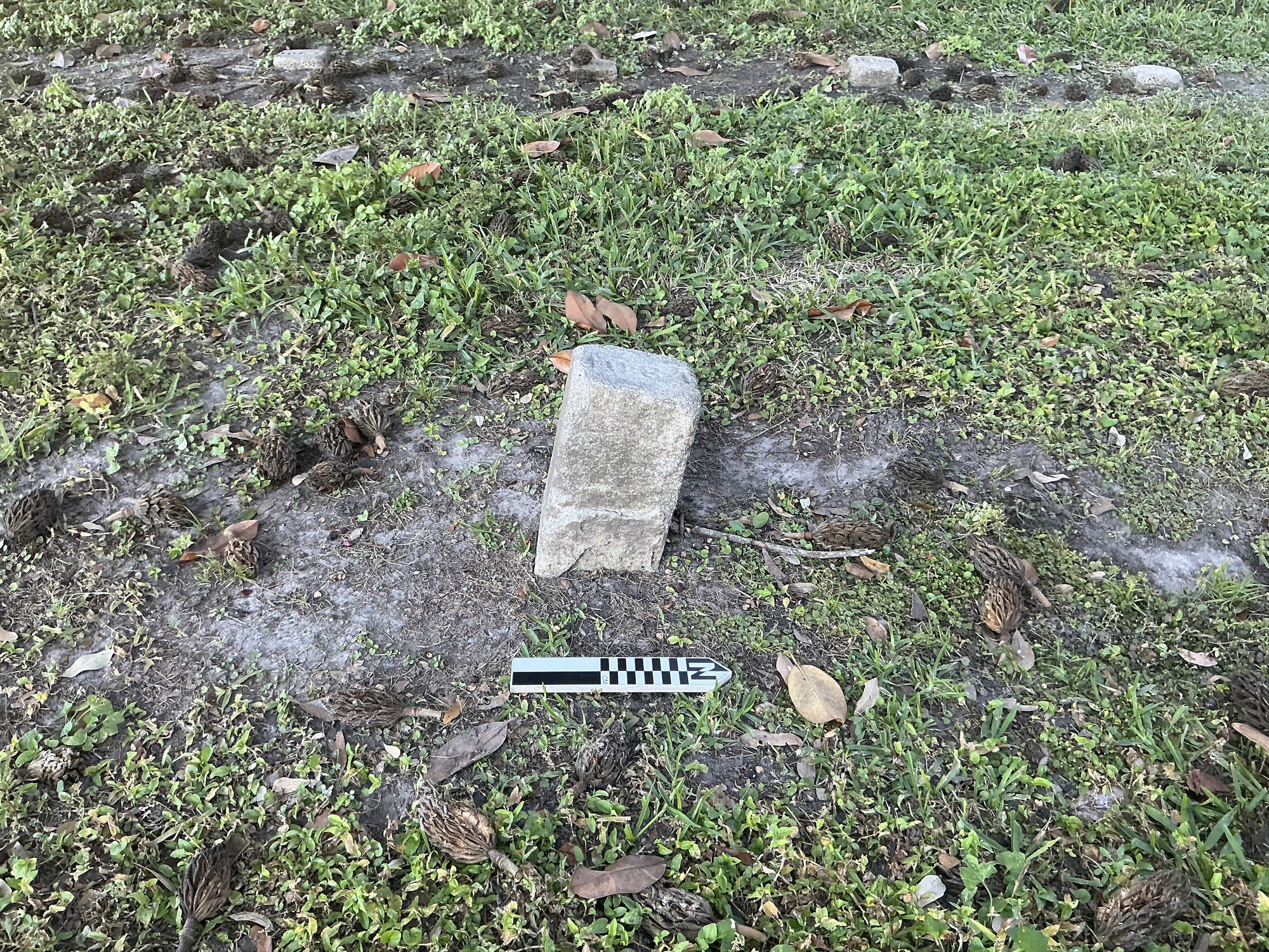 Extra image of flat marble marker