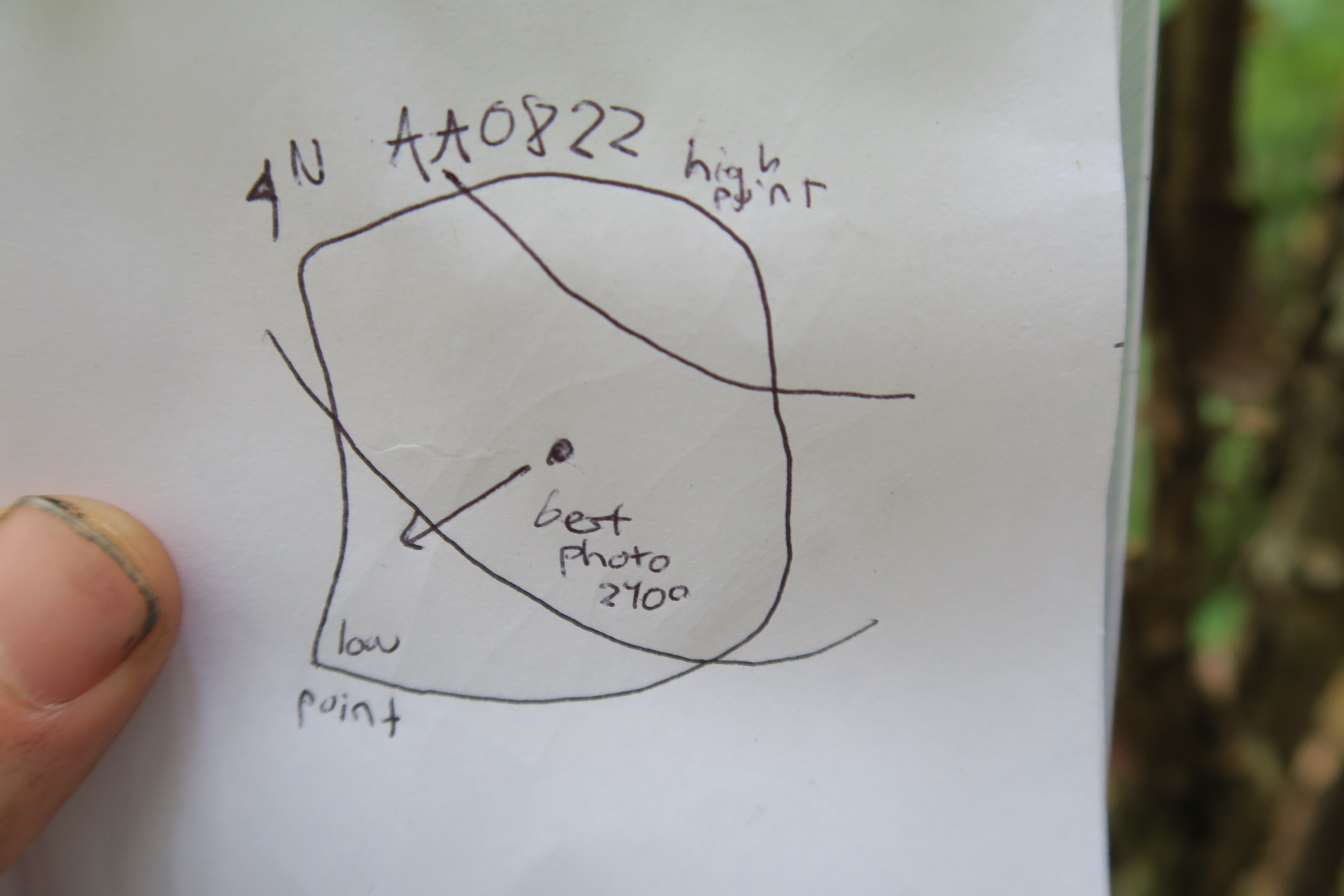 GRSM Accuracy Assessment. Plot Code: GRSM_AA_0822_7