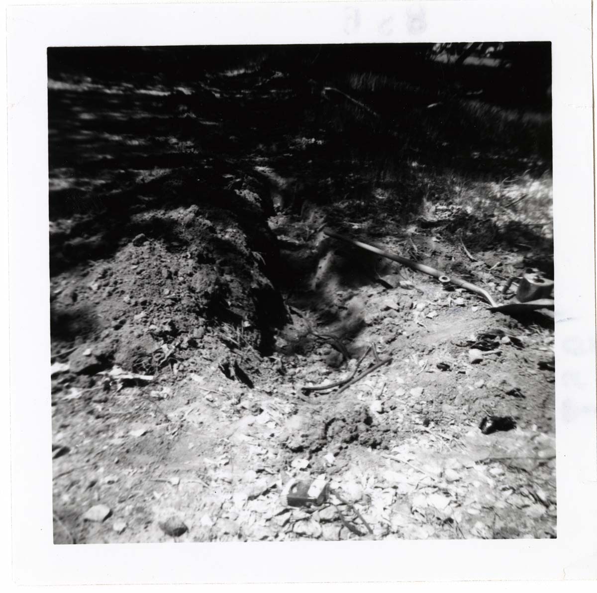 Wiring problem in the Grotto area.